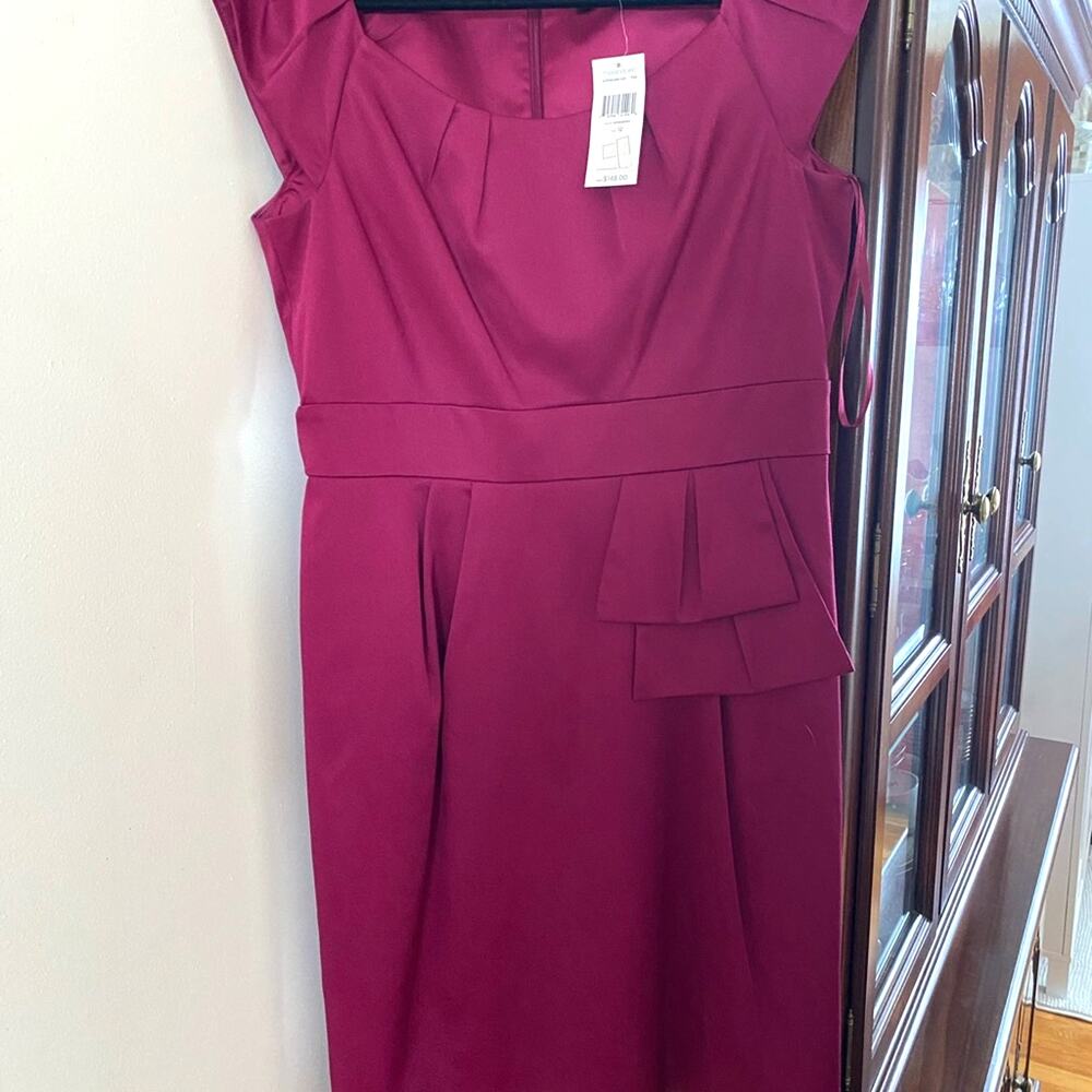 Raspberry sheath dress with waist detail. New with tag